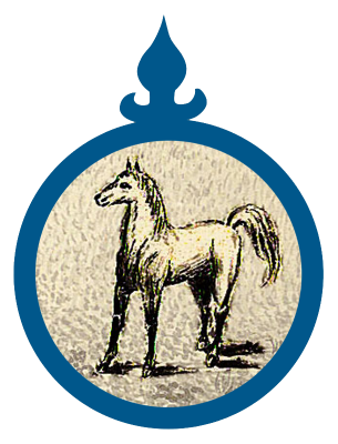 Staro-kladrubský kůň